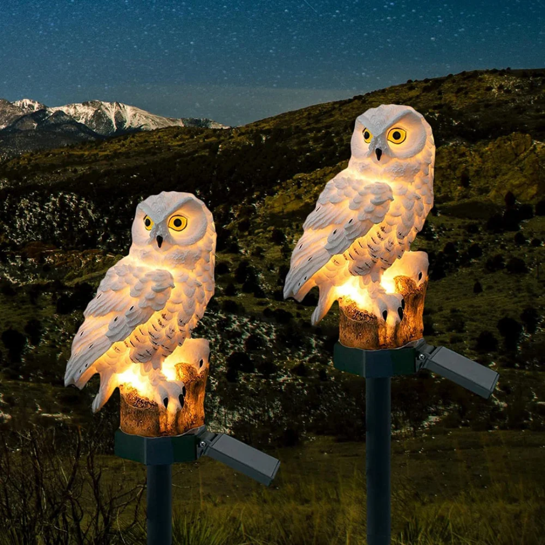 OwlGlow pathway garden